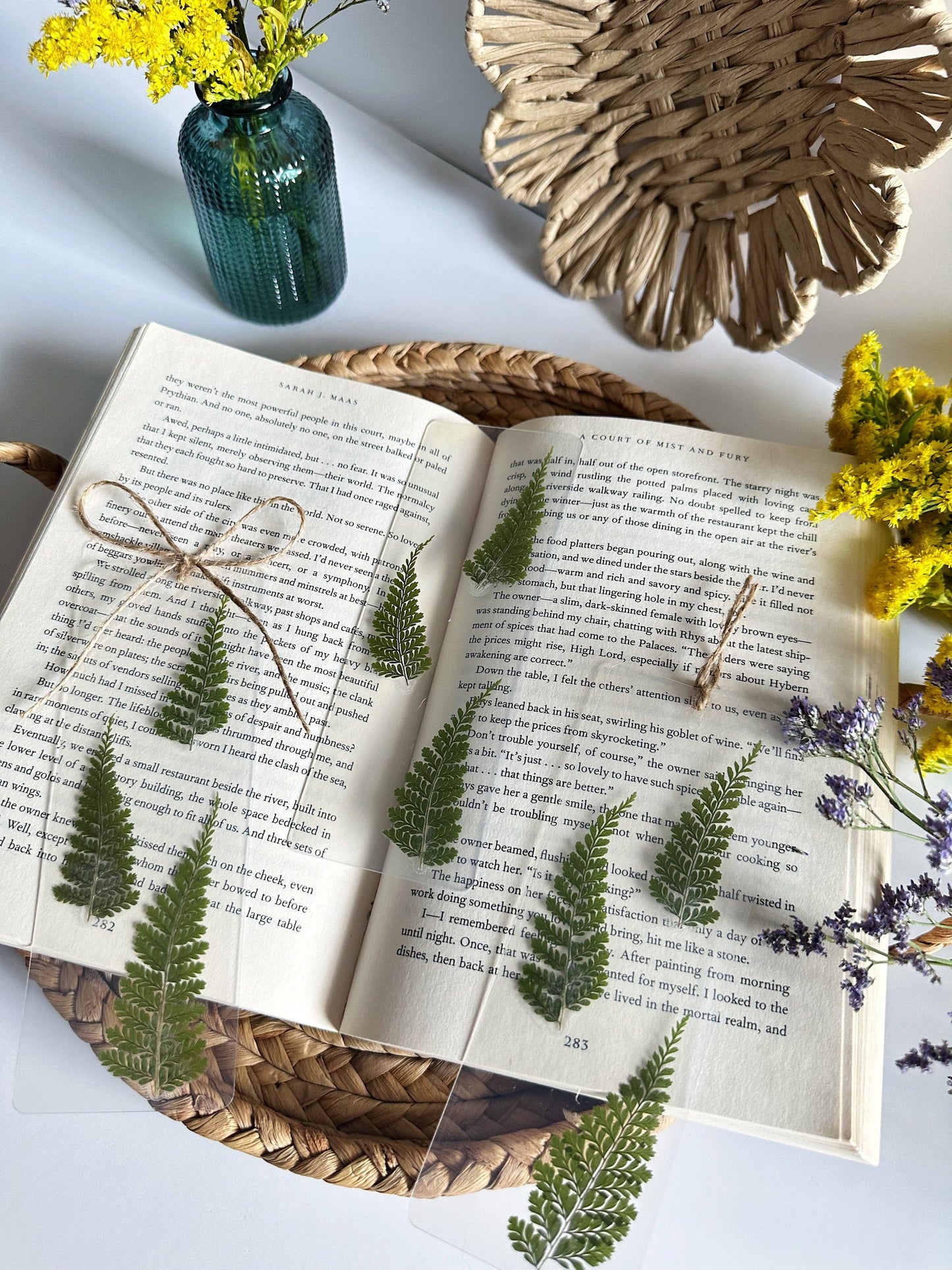 Fern bookmark
