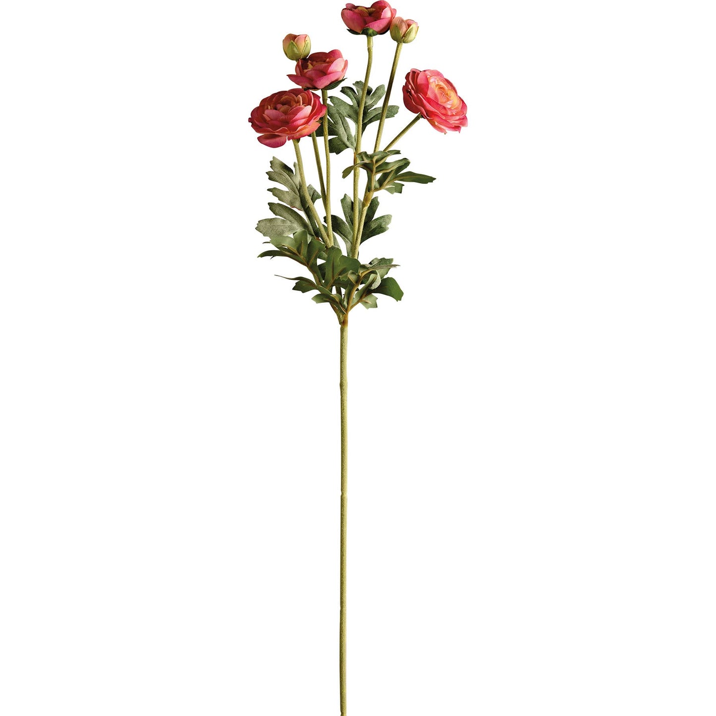 Pink Ranunculus Floral Pick