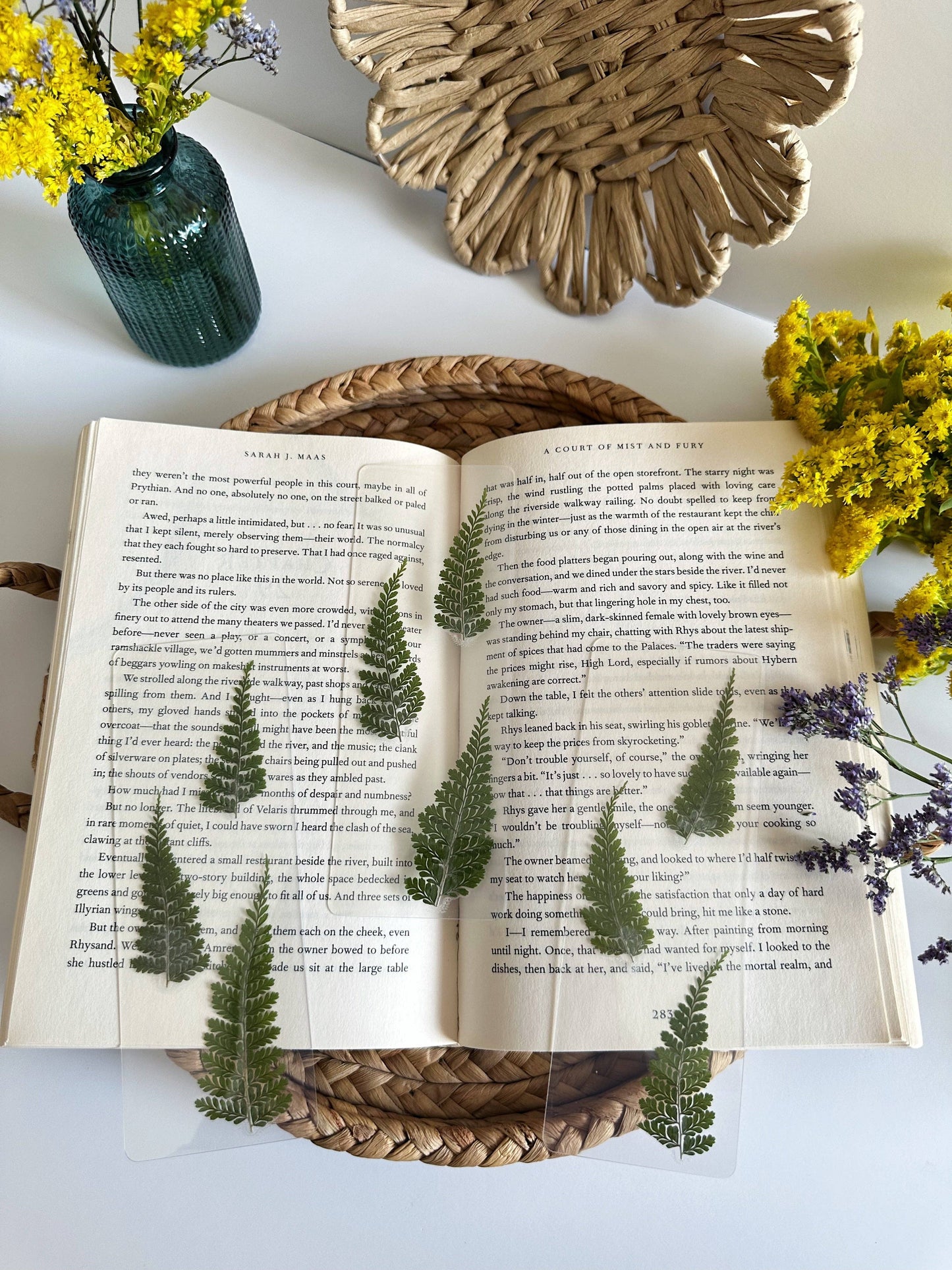 Fern bookmark
