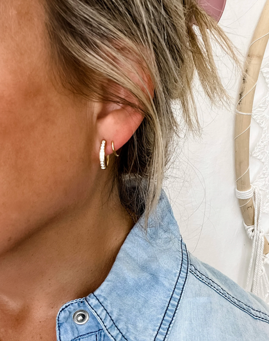 Double Hoop Diamond Earrings