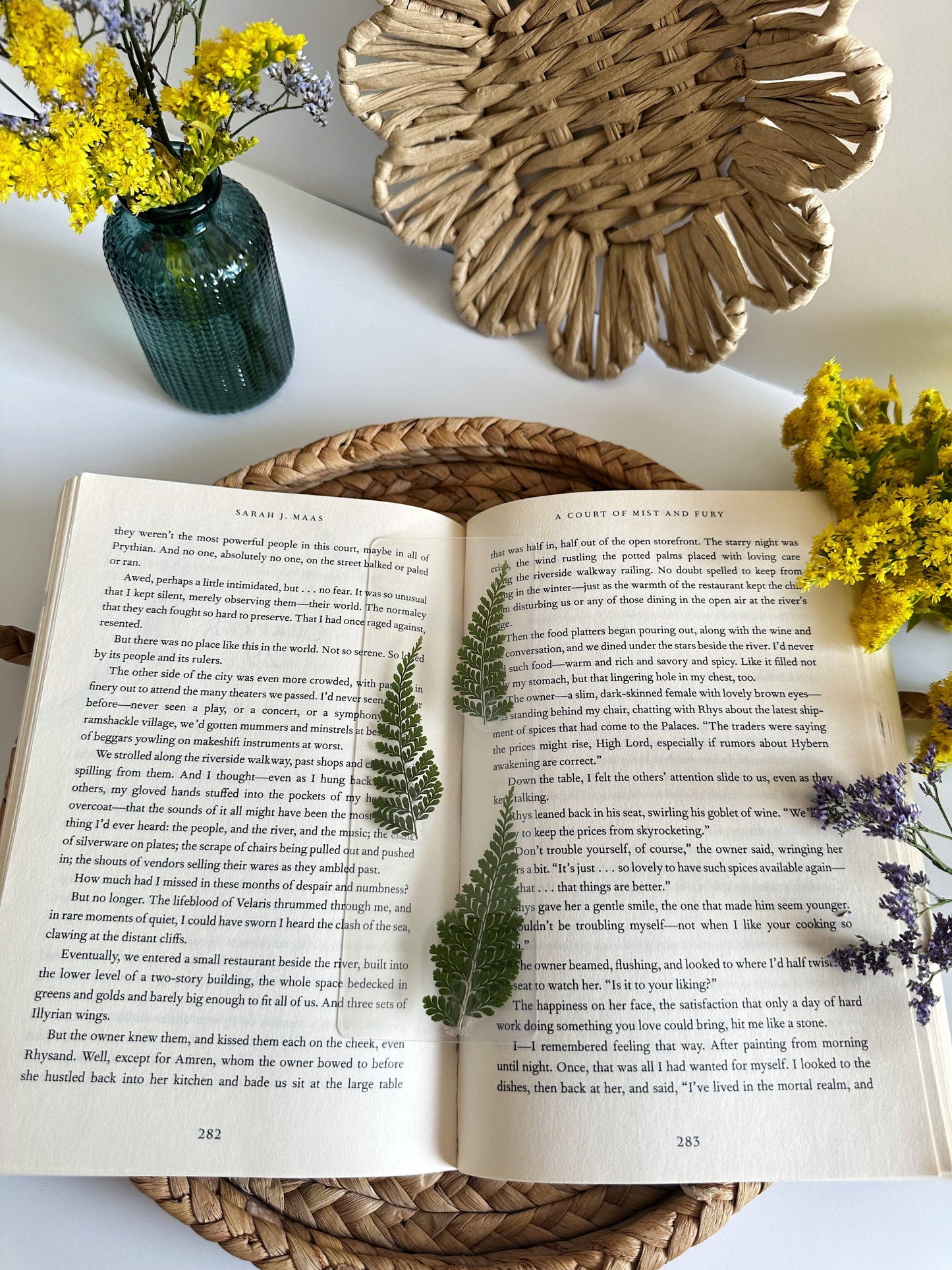 Fern bookmark