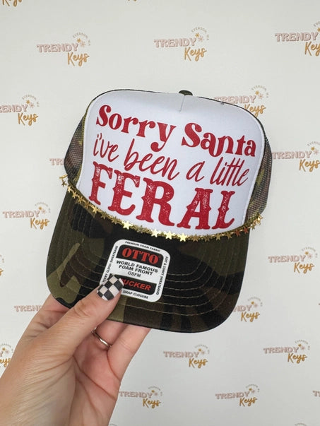 Sorry Santa Hat